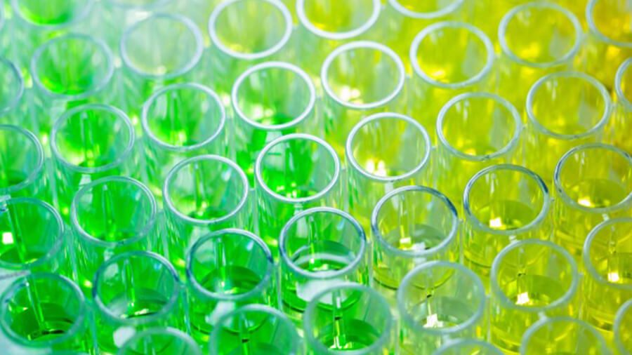 Assay's image